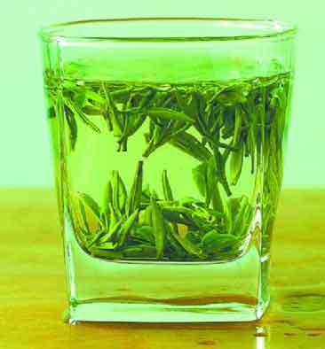 绿茶婊是什么梗插图