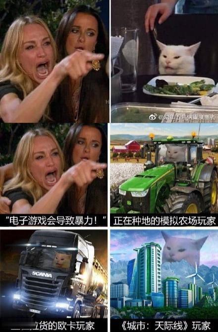 女人指小猫表情包是什么梗插图 女人指小猫表情包是什么梗插图