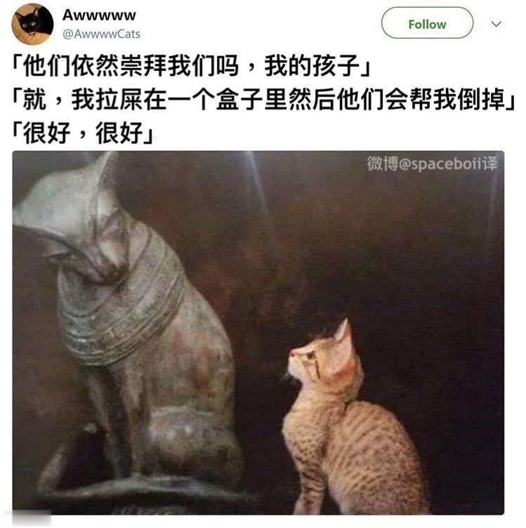 地球猫猫教是什么梗插图1 地球猫猫教是什么梗插图1