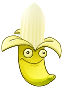 香蕉的意思是什么插图