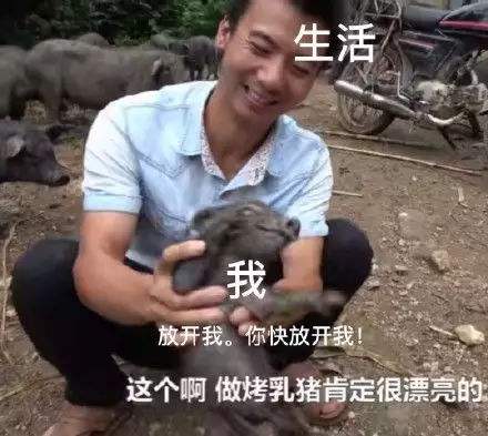 漂亮警告是什么梗？插图2