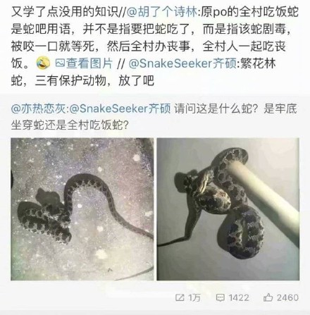 牢底坐穿蛇是什么梗?插图2 牢底坐穿蛇是什么梗?插图2