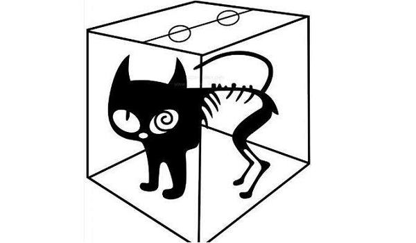 薛定谔的猫解释是什么？插图