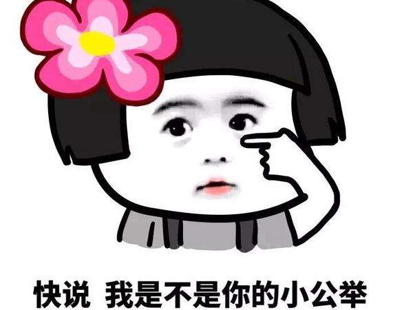 小公举解释是什么?插图3 小公举解释是什么?插图3