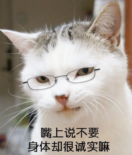 口嫌体正直是什么梗?插图 口嫌体正直是什么梗?插图