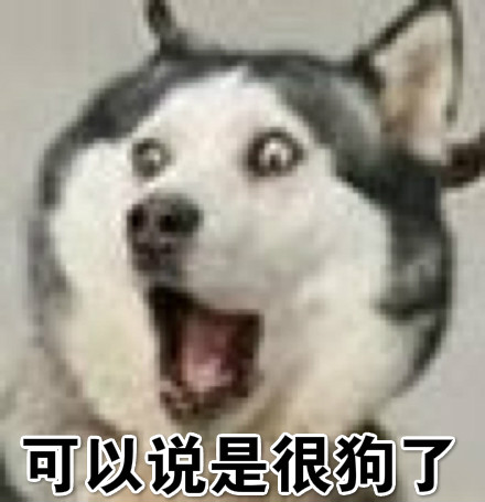 很狗意思是什么?插图1 很狗意思是什么?插图1