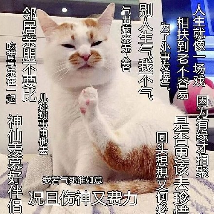 佛系生活解释是什么？插图3