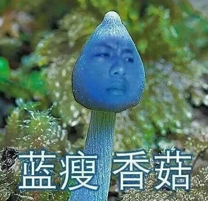 蓝瘦香菇意思是什么?插图2 蓝瘦香菇意思是什么?插图2