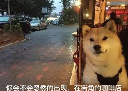 母胎单身是什么梗?插图2 母胎单身是什么梗?插图2