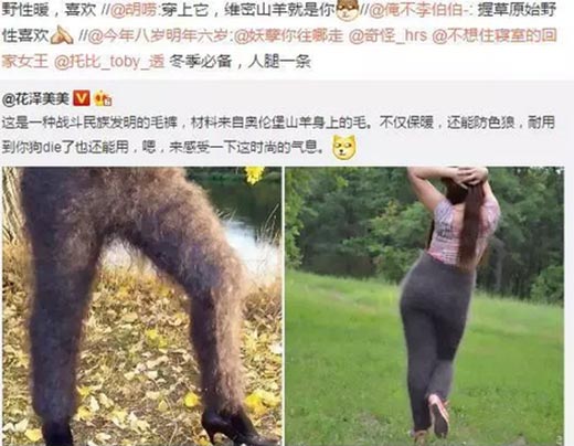 野性暖是什么梗？插图