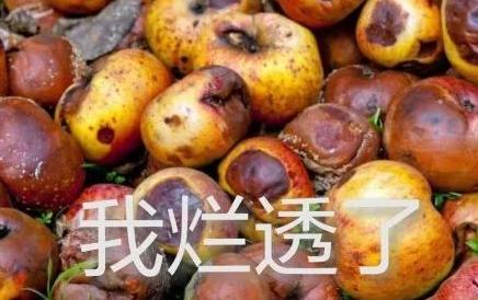 我枯了你呢、表情包介绍意思是什么？插图2