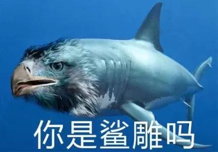 冲鸭是什么梗？插图3