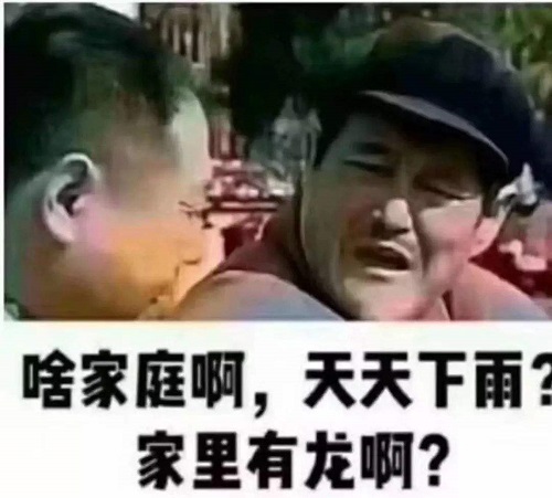 啥家庭啊天天下雨家里有龙啊意思出处介绍解释是什么？插图