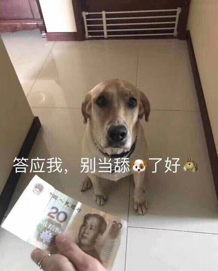 舔狗梗意思是什么？插图2