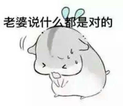 马子狗是什么梗？插图1