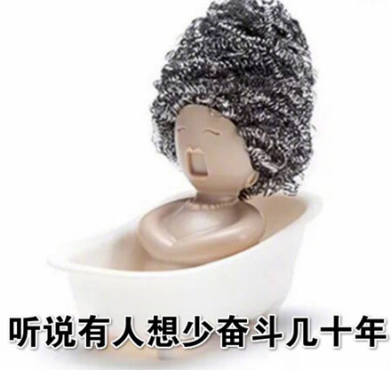 钢丝球意思是什么?插图1 钢丝球意思是什么?插图1