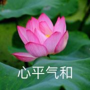 我枯了你呢、表情包介绍意思是什么？插图5