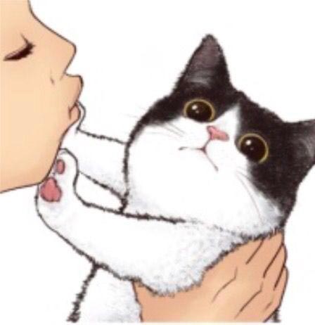 舔猫解释是什么？插图