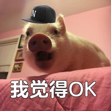 完全o几把k是什么梗?插图1 完全o几把k是什么梗?插图1