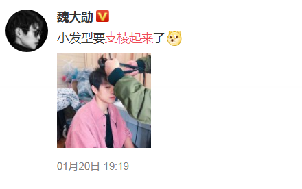 支棱起来的含义解释意思是什么？插图