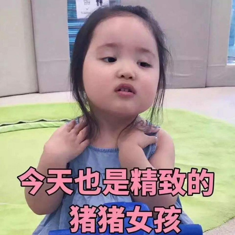 精致的猪猪女孩意思是什么?插图2 精致的猪猪女孩意思是什么?插图2
