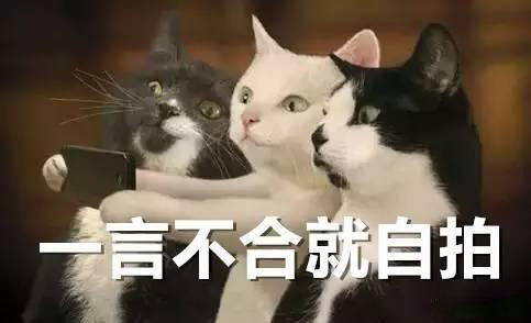 一言不合就意思是什么？插图2