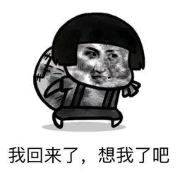 从新疆回来意思是什么？插图