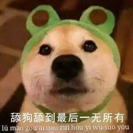 抖音舔狗意思是什么？插图1
