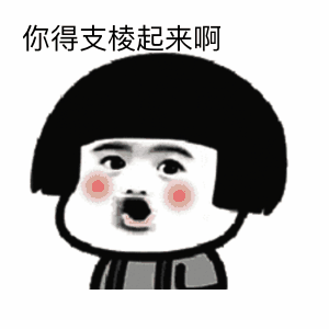 支棱起来的含义解释意思是什么？插图2