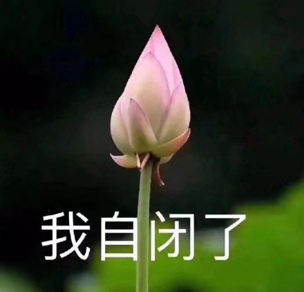 我想开了意思是什么?插图7 我想开了意思是什么?插图7