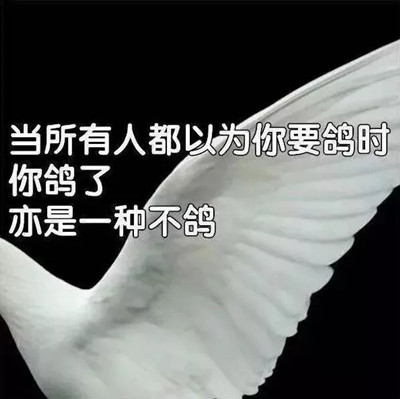 人类的本质是鸽子是什么梗？插图3