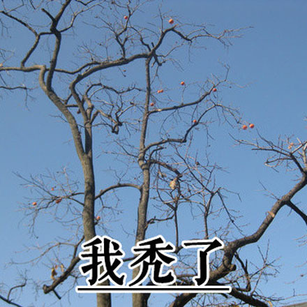 我想开了意思是什么?插图3 我想开了意思是什么?插图3