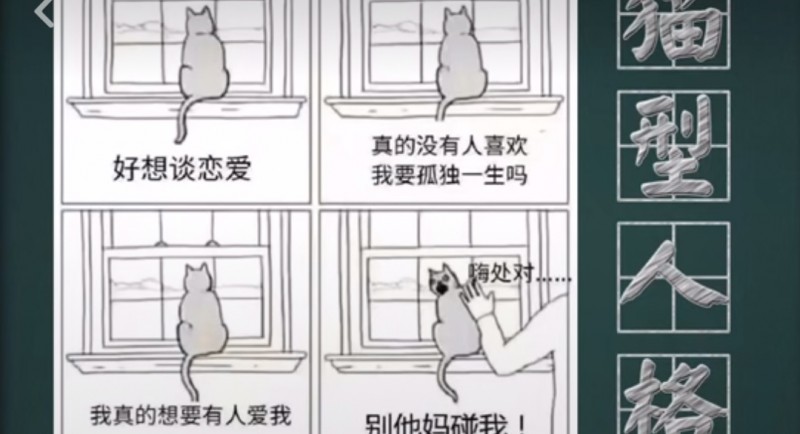 抖音猫性人格解释是什么？插图
