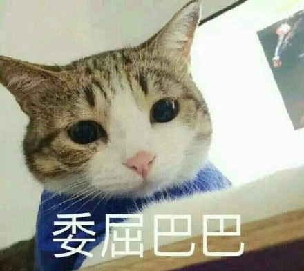 x分钟惨案是什么梗?插图1 x分钟惨案是什么梗?插图1