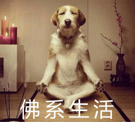 佛系生活解释是什么？插图2