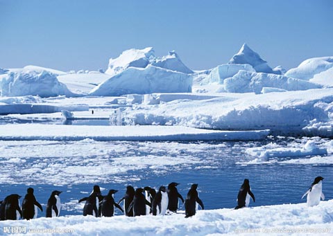 南极和北极哪个更冷？解释是什么？插图