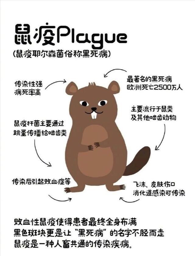 鼠疫PLAGUE解释是什么？插图